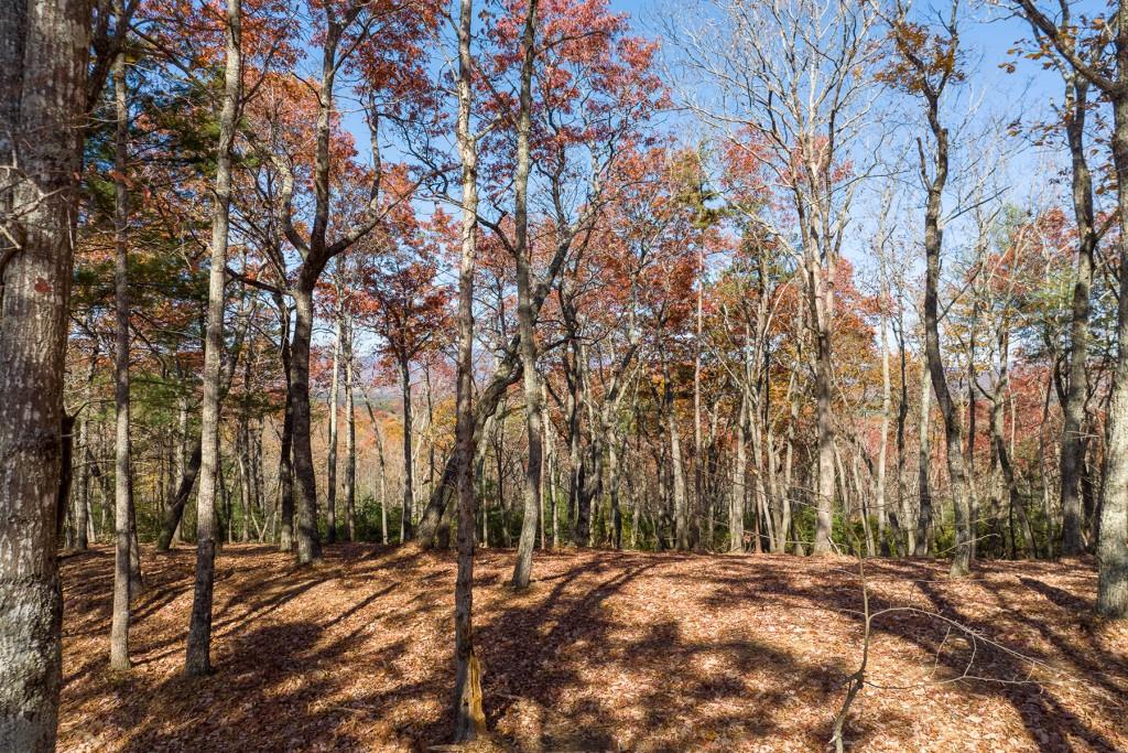 LOT 39 Preserve Trail, Ellijay, Georgia image 3