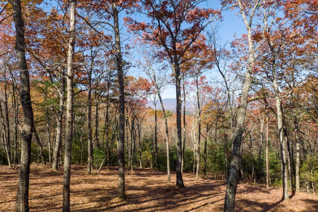 LOT 39 Preserve Trail, Ellijay, Georgia image 5