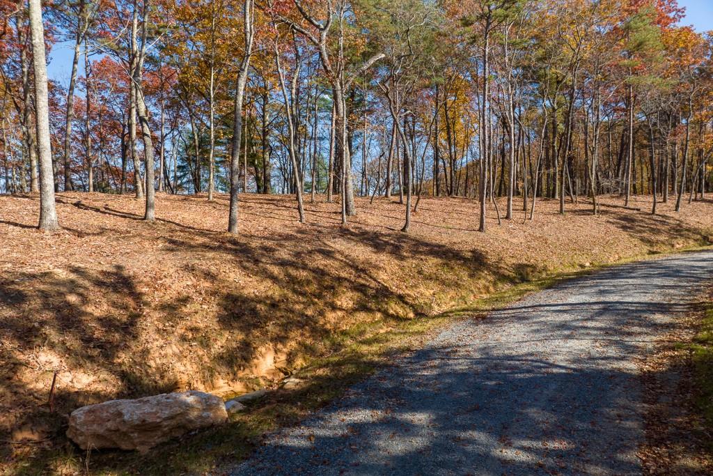 LOT 39 Preserve Trail, Ellijay, Georgia image 17