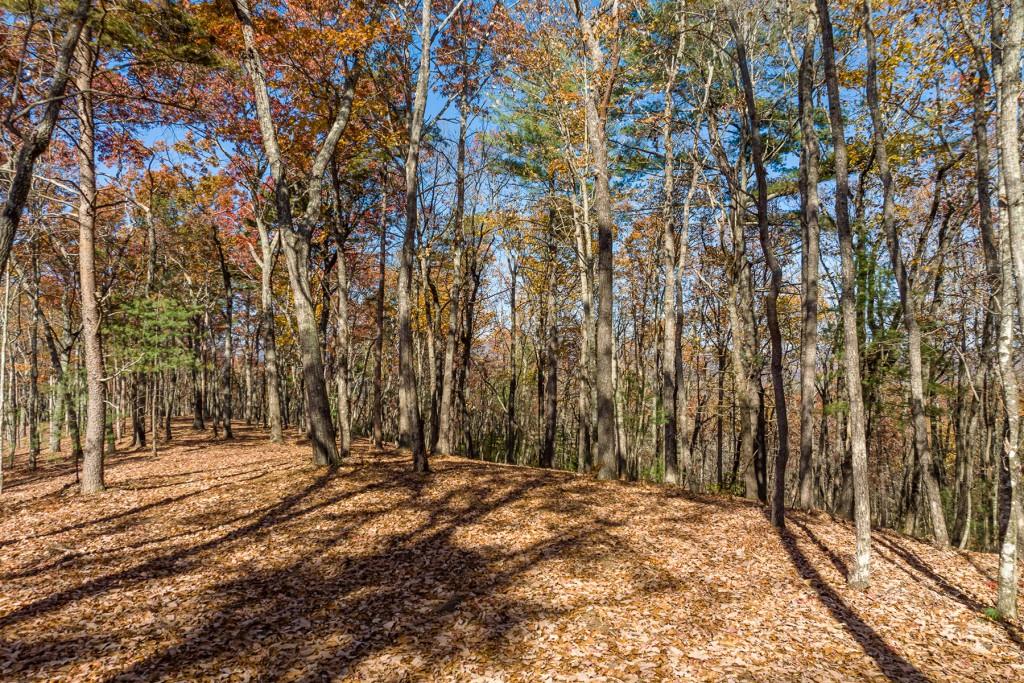 LOT 39 Preserve Trail, Ellijay, Georgia image 7