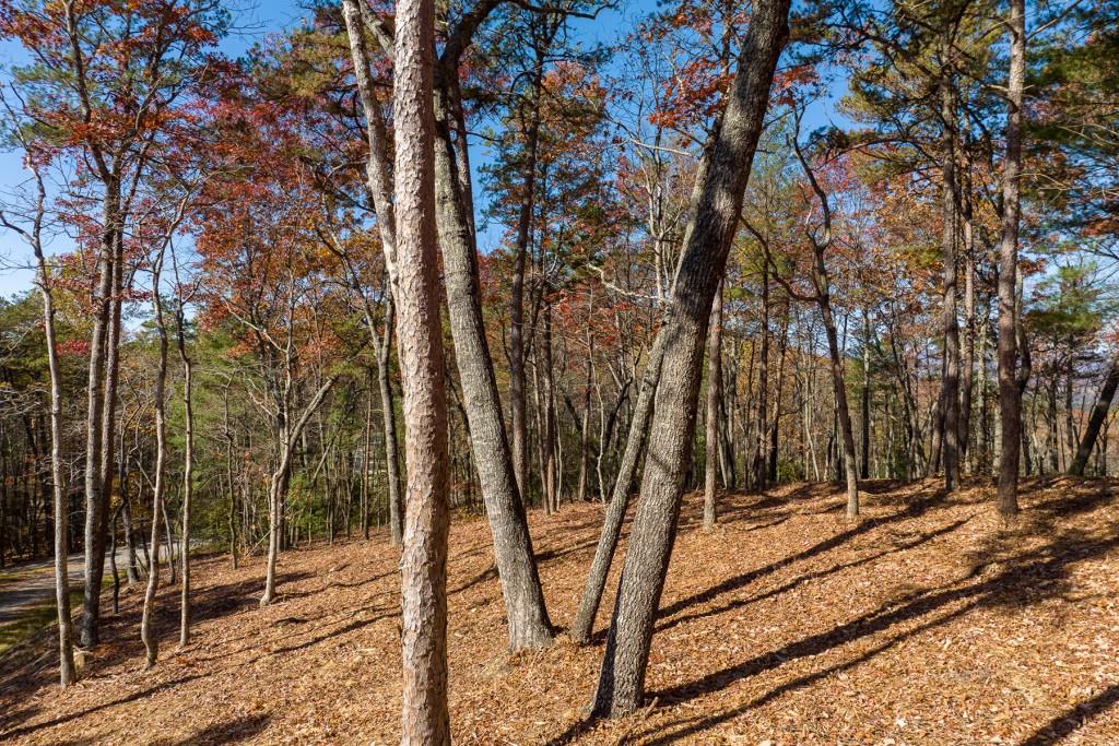 LOT 39 Preserve Trail, Ellijay, Georgia image 2