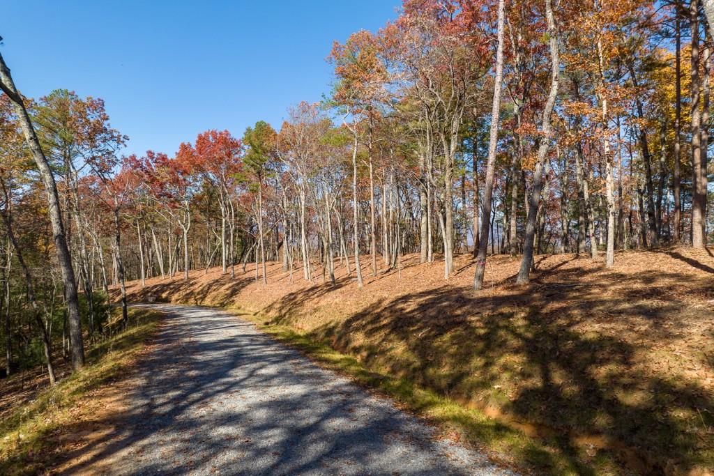 LOT 39 Preserve Trail, Ellijay, Georgia image 18