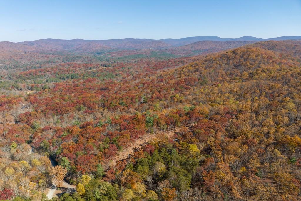 LOT 39 Preserve Trail, Ellijay, Georgia image 21