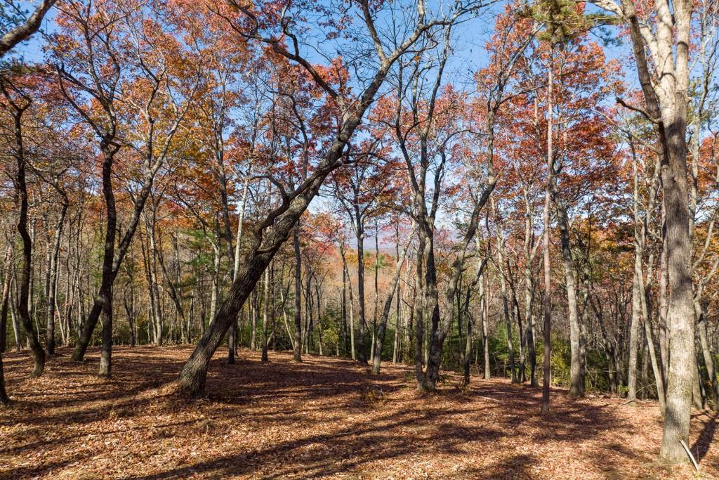 LOT 39 Preserve Trail, Ellijay, Georgia image 4