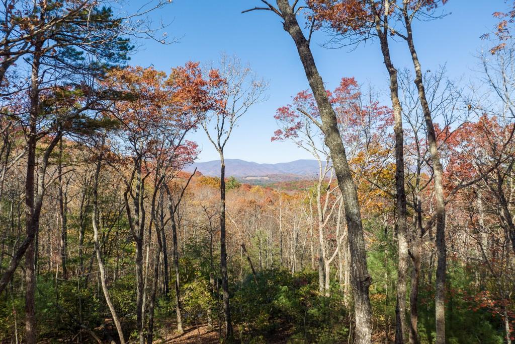 LOT 39 Preserve Trail, Ellijay, Georgia image 6