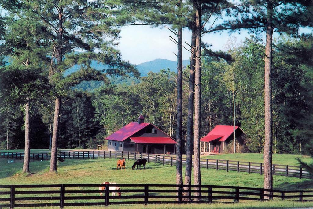 LOT 39 Preserve Trail, Ellijay, Georgia image 25