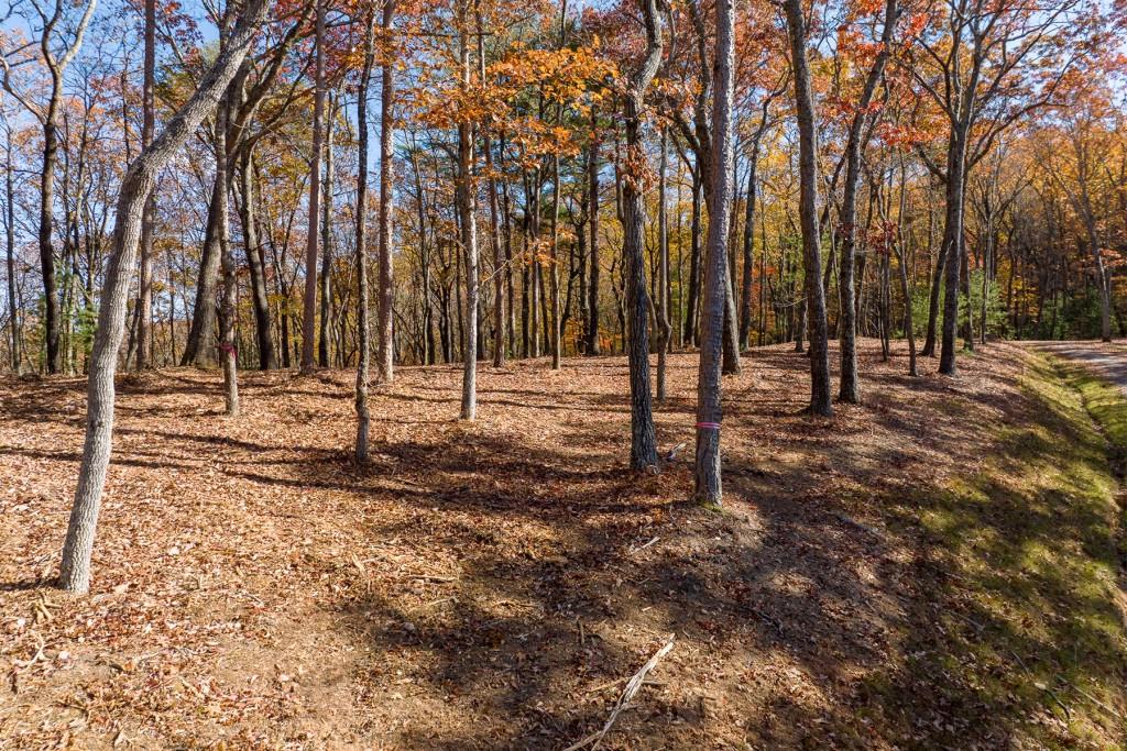 LOT 39 Preserve Trail, Ellijay, Georgia image 16