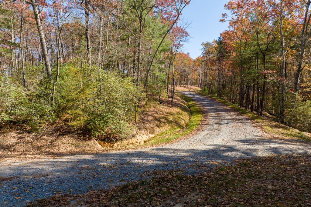 LOT 39 Preserve Trail, Ellijay, Georgia image 11