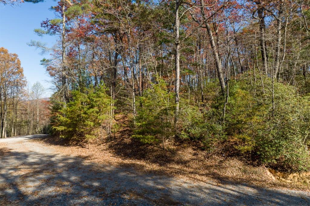 LOT 39 Preserve Trail, Ellijay, Georgia image 12