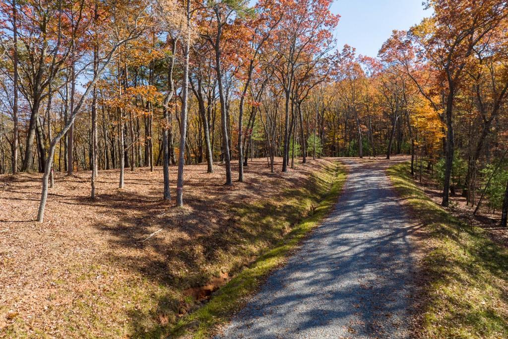 LOT 39 Preserve Trail, Ellijay, Georgia image 15