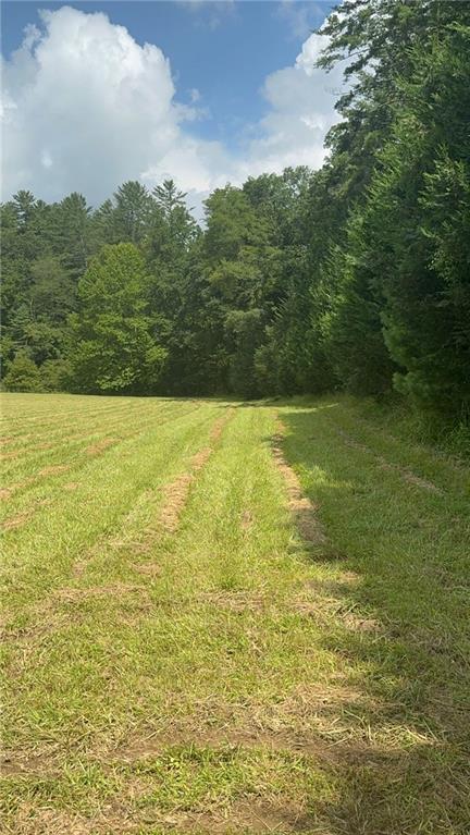 10701 Mulky Gap Road, Suches, Georgia image 49