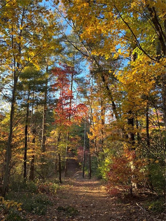 0 Pleasant Hill Trail