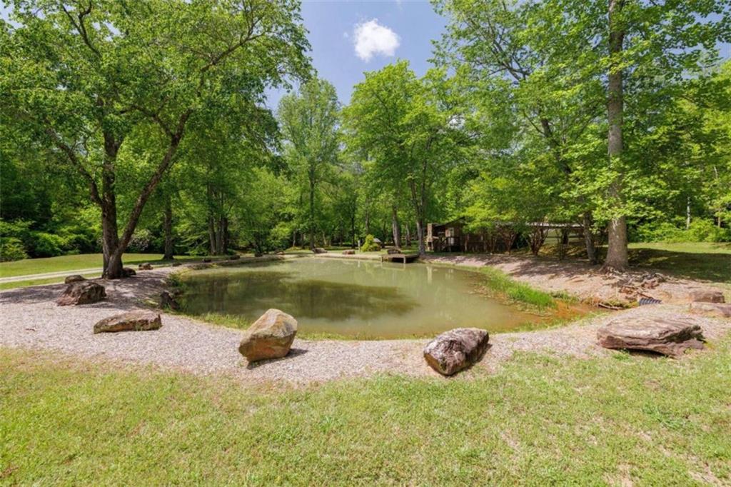 1231 Dooley Road, Clarkesville, Georgia image 2