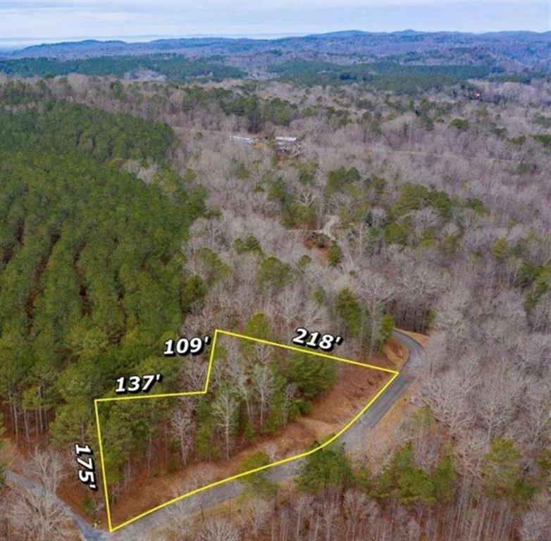LOT 50 Lower Creek Trail, Ellijay, Georgia image 1