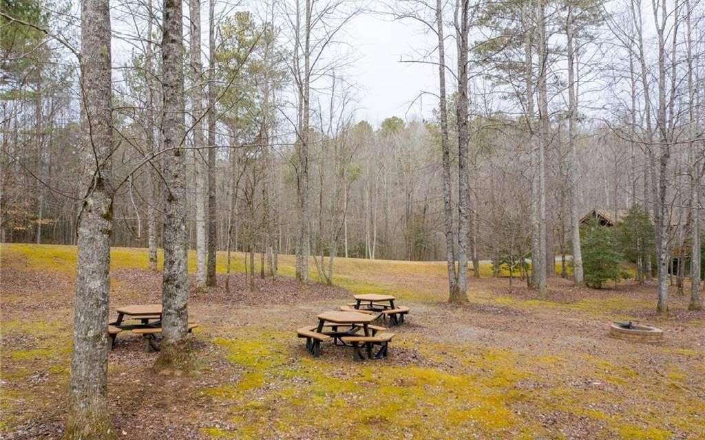 LOT 50 Lower Creek Trail, Ellijay, Georgia image 3