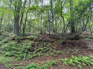 0 Ts Jarrard Rd, Unit TRACT 3