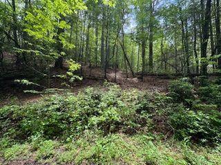 0 Ts Jarrard Rd, Unit TRACT 3