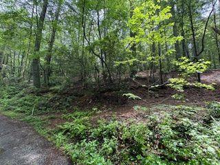 0 Ts Jarrard Rd, Unit TRACT 3