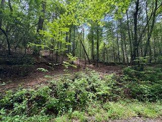 0 Ts Jarrard Rd, Unit TRACT 3