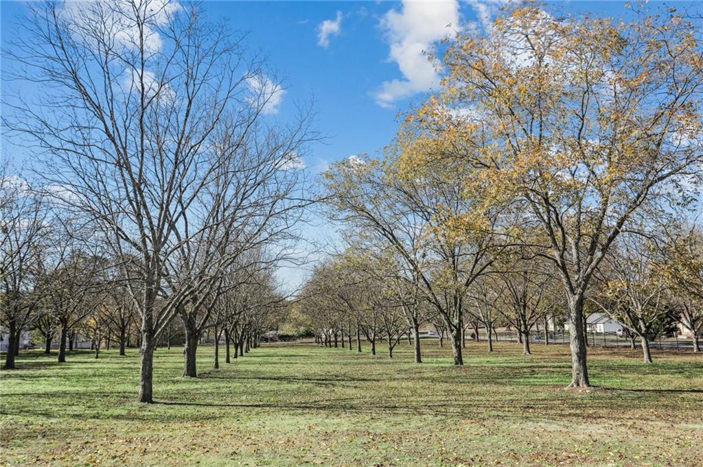 3062 Albion Farm Road, Duluth, Georgia image 38