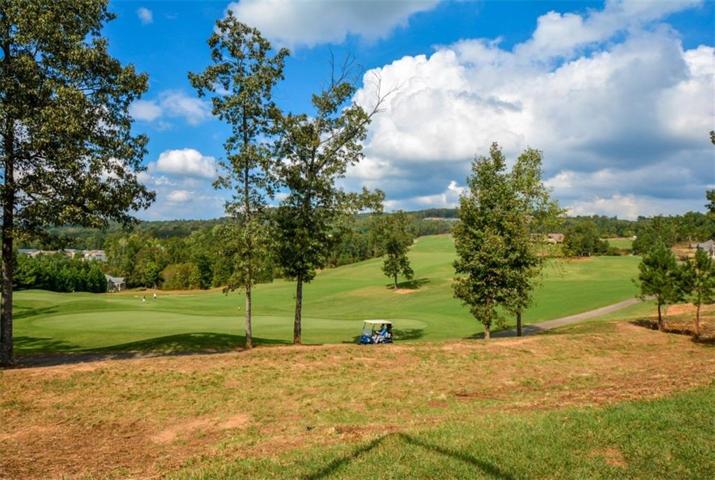 505 Appalachian Woods Drive, Canton, Georgia image 50
