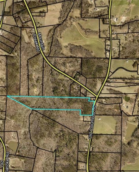 Vacant Land For Sale - 00 Old Columbus Road<br/> Bowdon, GA 30108