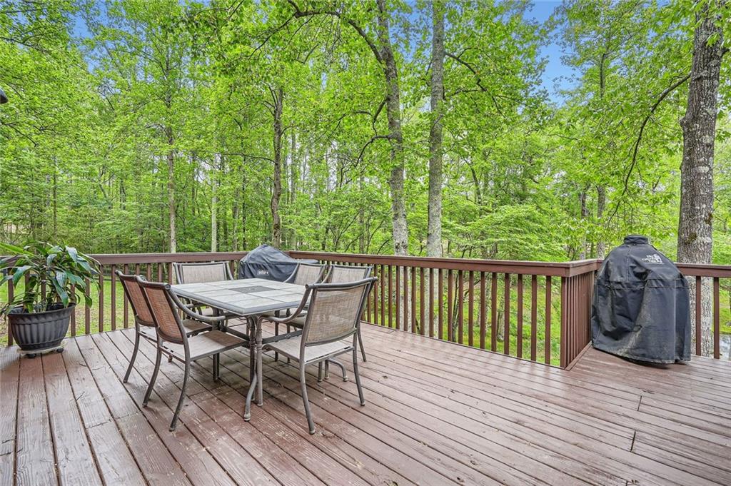 5419 Tyree Road, Winston, Georgia image 43