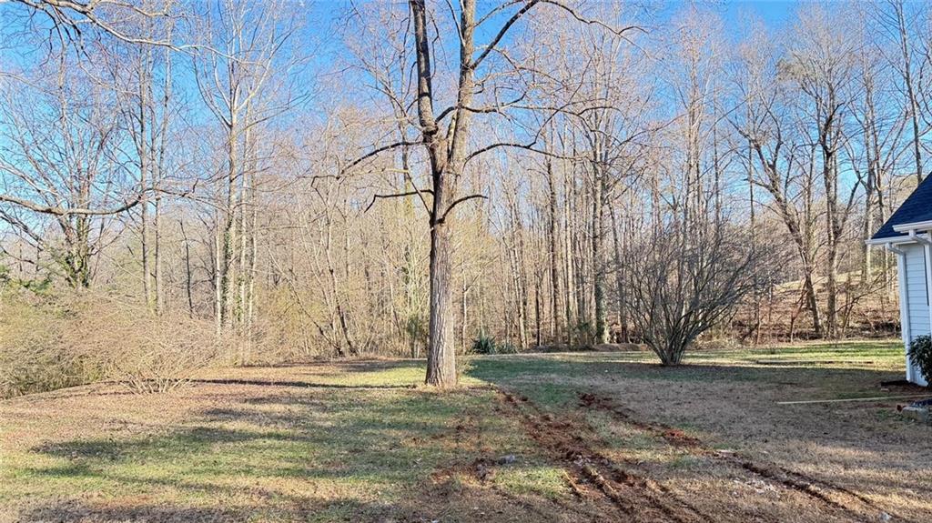 5050 Hasty Acres Road, Lula, Georgia image 28