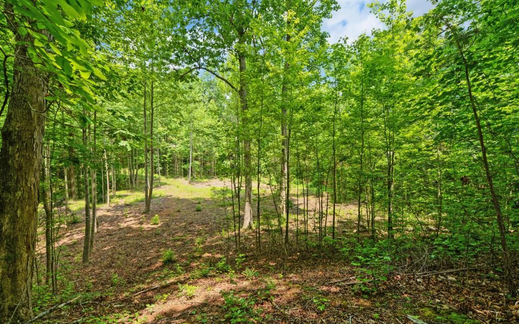 6755 Jake Kemp Road, Murrayville, Georgia image 18