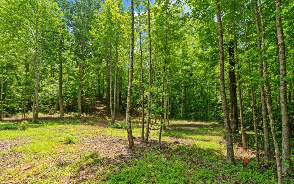 6755 Jake Kemp Road, Murrayville, Georgia image 12