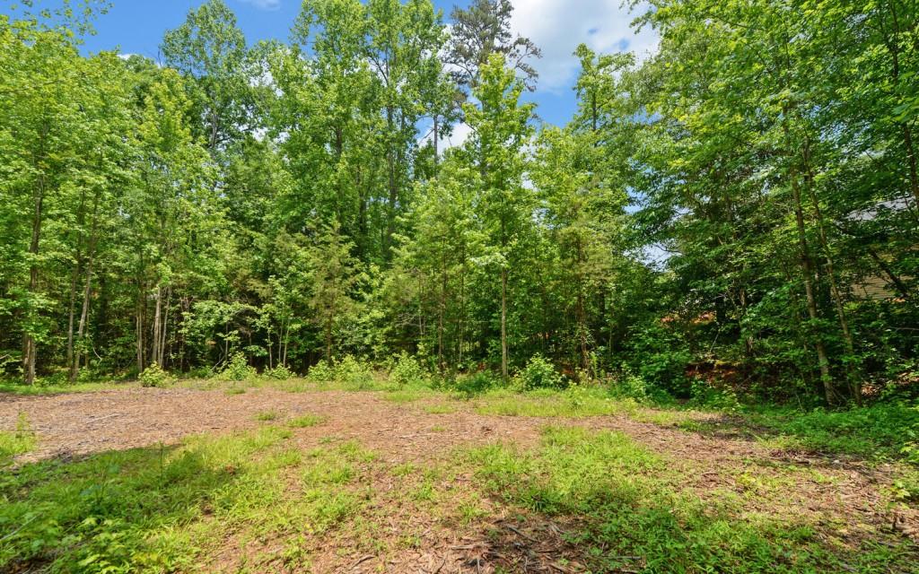 6755 Jake Kemp Road, Murrayville, Georgia image 20