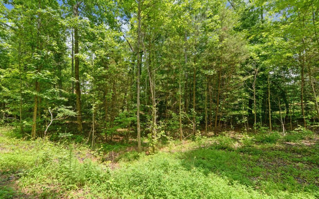 6755 Jake Kemp Road, Murrayville, Georgia image 11