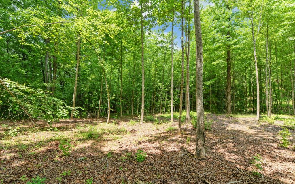 6755 Jake Kemp Road, Murrayville, Georgia image 14