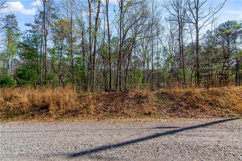 1.02 Monitor Drive, Ellijay, Georgia image 4