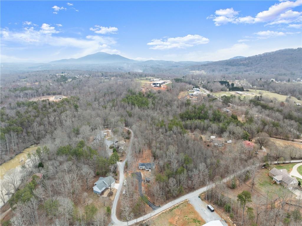 156 Arrow Lake Drive, Cleveland, Georgia image 42