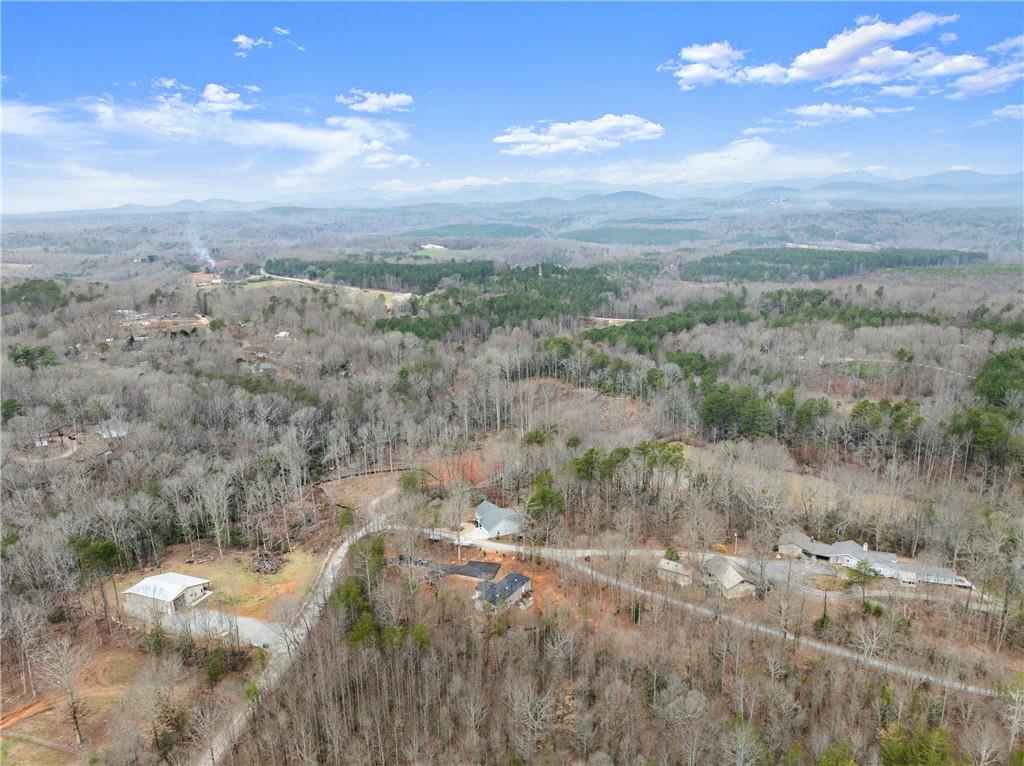 156 Arrow Lake Drive, Cleveland, Georgia image 48