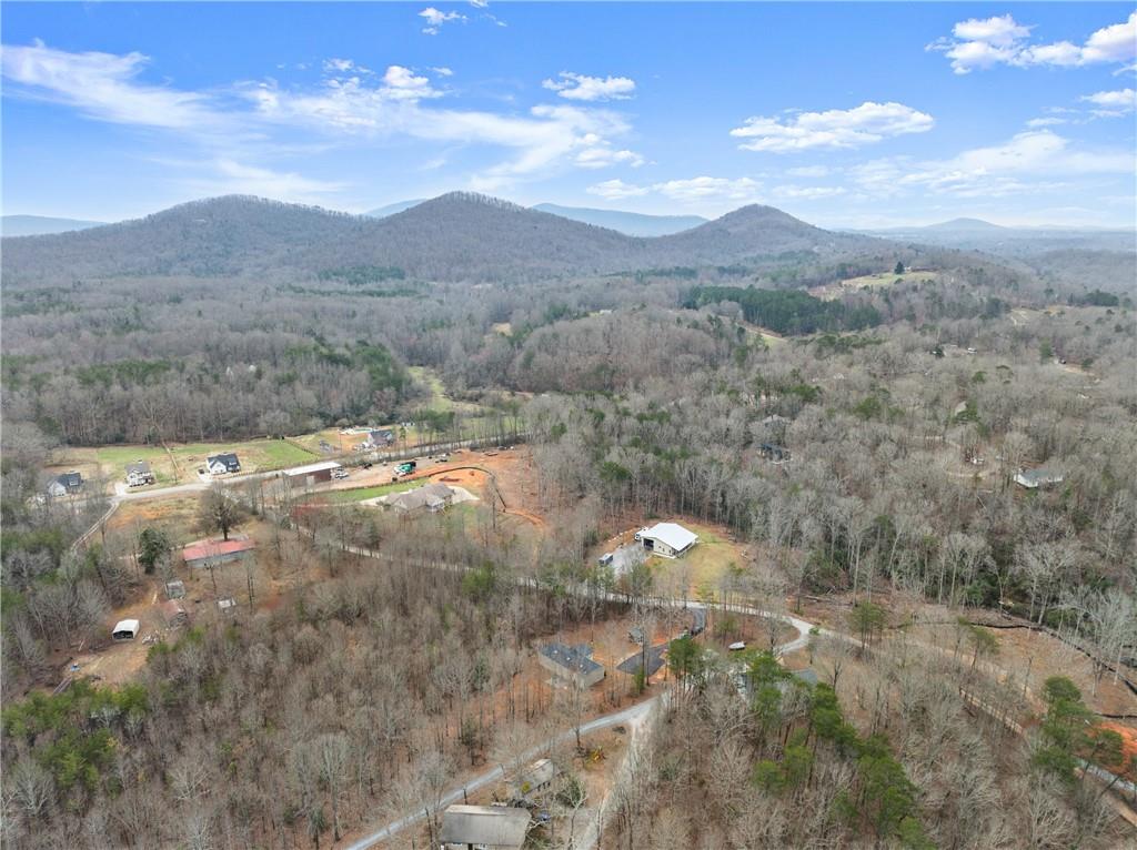 156 Arrow Lake Drive, Cleveland, Georgia image 46