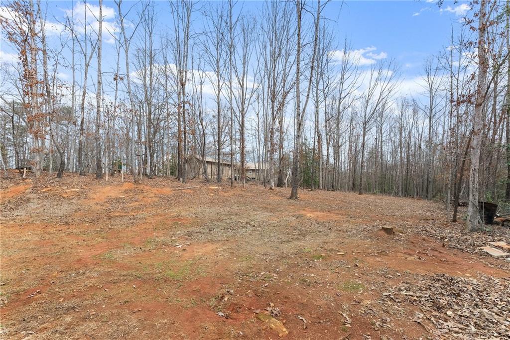 156 Arrow Lake Drive, Cleveland, Georgia image 36