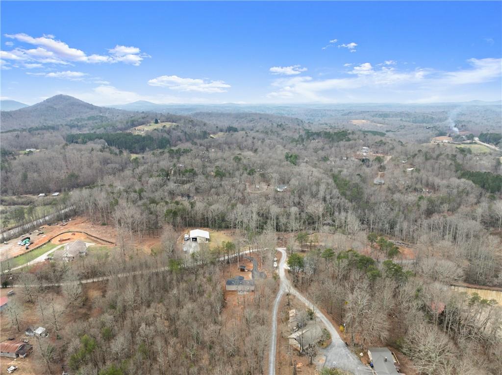 156 Arrow Lake Drive, Cleveland, Georgia image 47