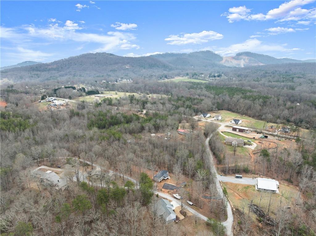 156 Arrow Lake Drive, Cleveland, Georgia image 44