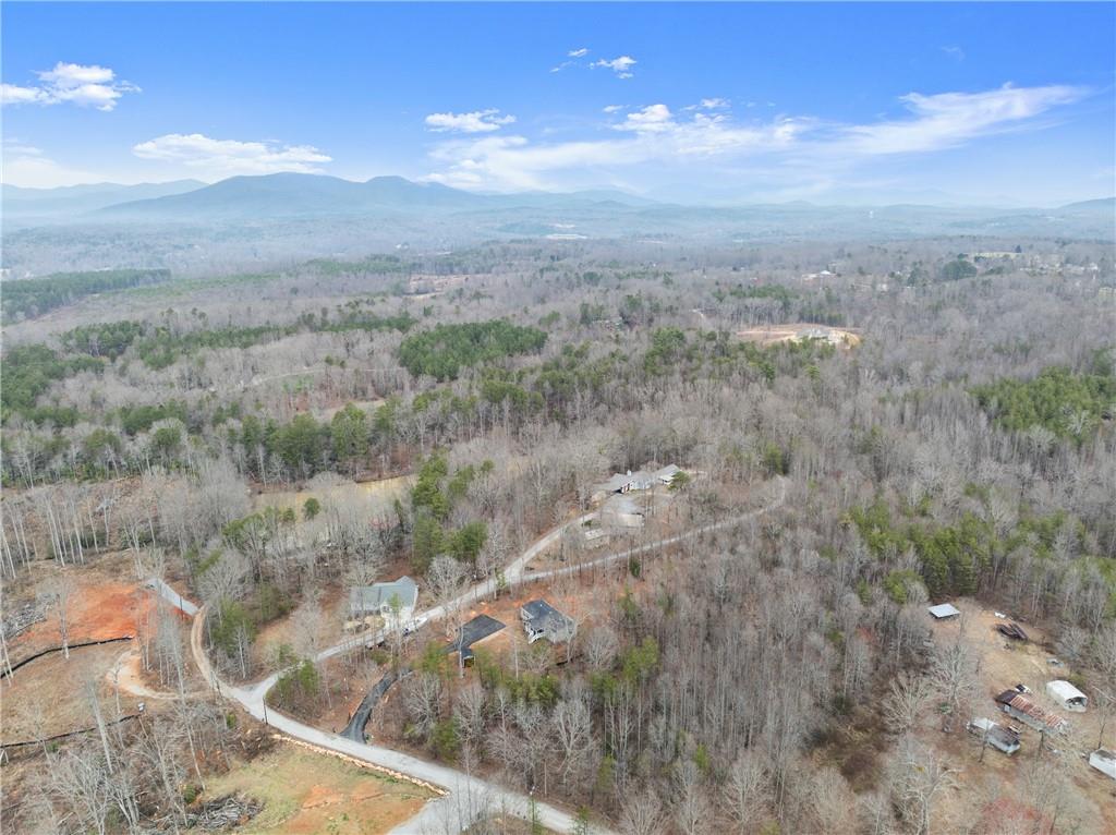 156 Arrow Lake Drive, Cleveland, Georgia image 41