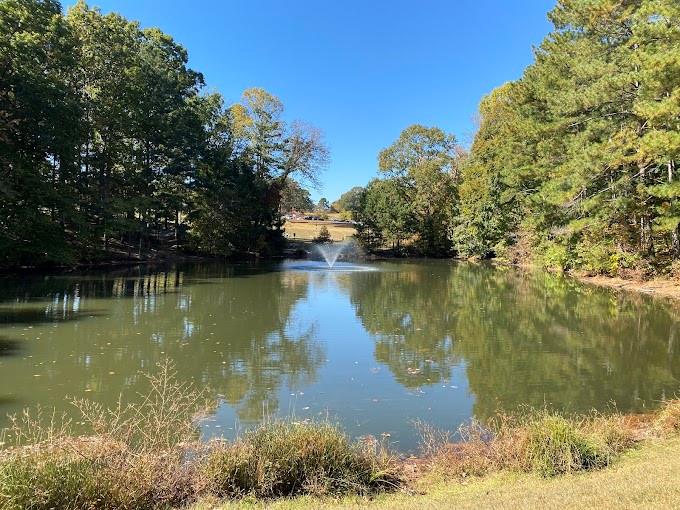HICKORY BLUFF - Residential