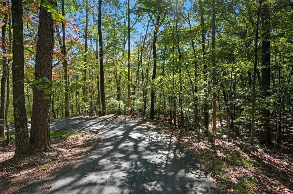 226 Wild Azalea Circle