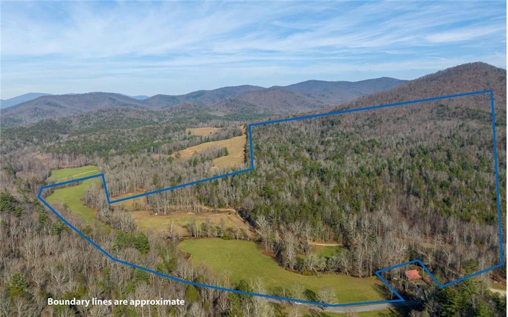 228 Holly Branch Drive