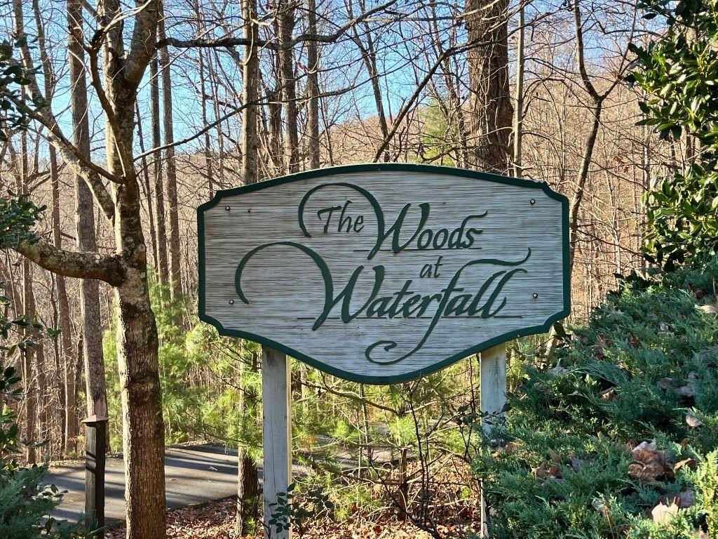 LOT #2 Forest Canopy Way