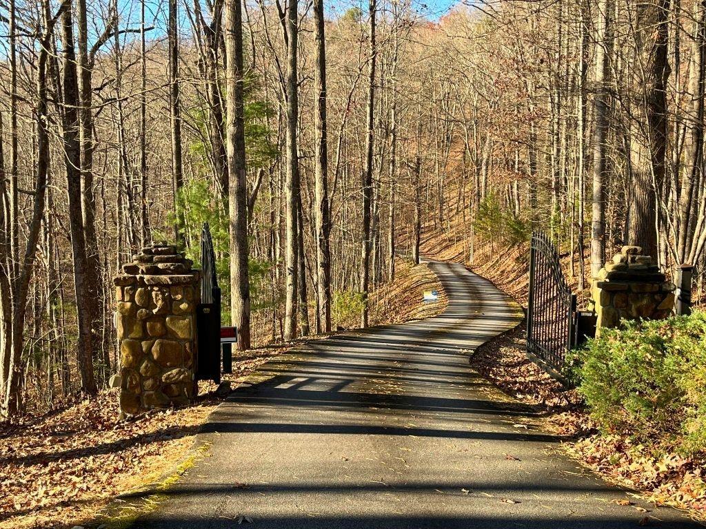 LOT #2 Forest Canopy Way
