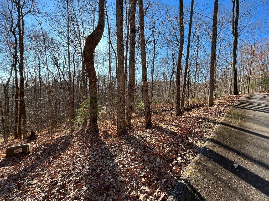 LOT #2 Forest Canopy Way