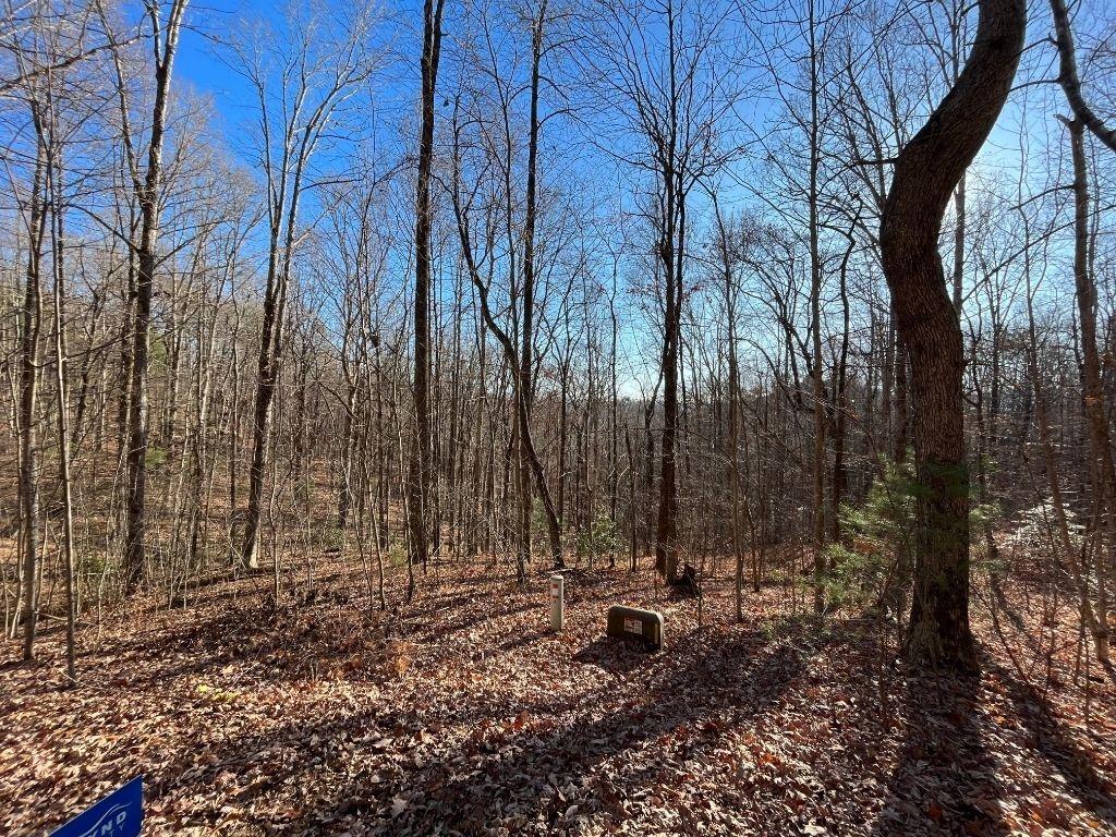 LOT #2 Forest Canopy Way