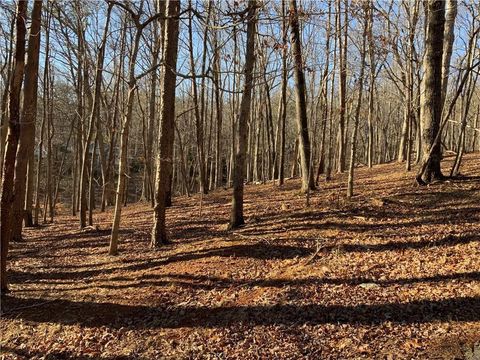 Vacant Land For Sale - Oak Ridge Court<br/> Jasper, GA 30143