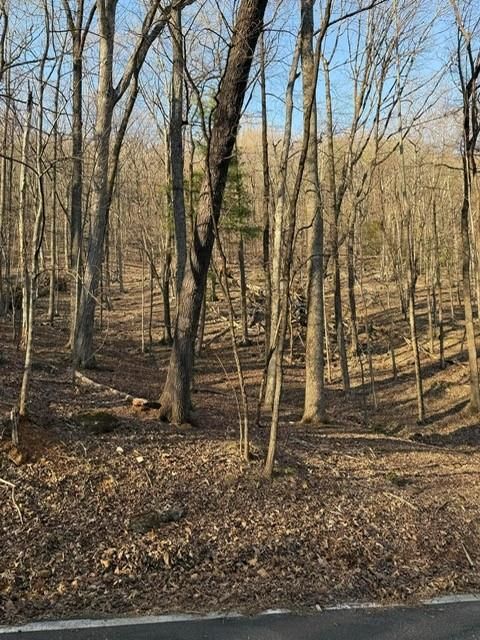 210 Windflower Drive Big Canoe GA 30143